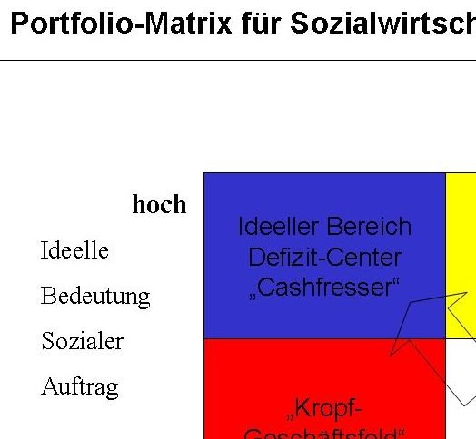 Portfolio-Matrix, Sozialwirtschaft Tutorial